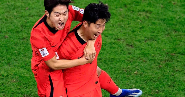 So Tài Á – Phi Tại World Cup 2026: Cơ Hội Nào Cho Người Hâm Mộ Cược Thưởng? - hình ảnh - playabc8.com