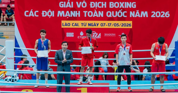 Liên đoàn Quyền anh Việt Nam bị tố bầu cử sai quy định – ABC8 bắn cá cập nhật diễn biến mới - hình ảnh - playabc8.com Liên đoàn Quyền anh Việt Nam bị tố bầu cử sai quy định – ABC8 bắn cá cập nhật diễn biến mới - hình ảnh - playabc8.com