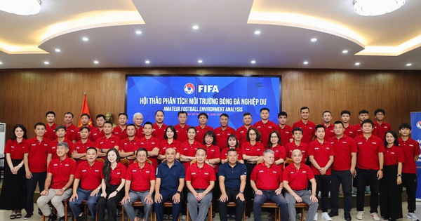FIFA chỉ ra hướng phát triển bóng đá phong trào Việt Nam - hình ảnh - playabc8.com