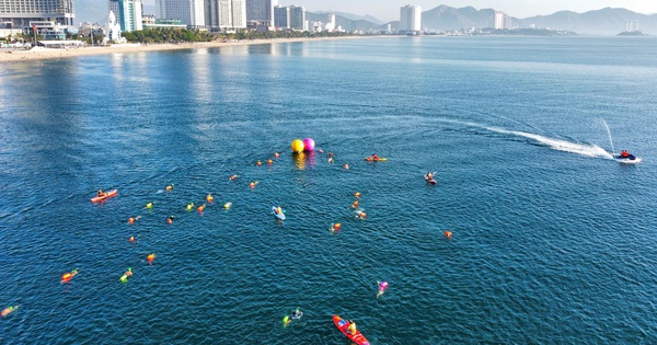 Thưởng tân thủ ABC8: Đồng hành cùng giải bơi biển SeaStar Nha Trang Bay 2026 - hình ảnh - playabc8.com Thưởng tân thủ ABC8: Đồng hành cùng giải bơi biển SeaStar Nha Trang Bay 2026 - hình ảnh - playabc8.com