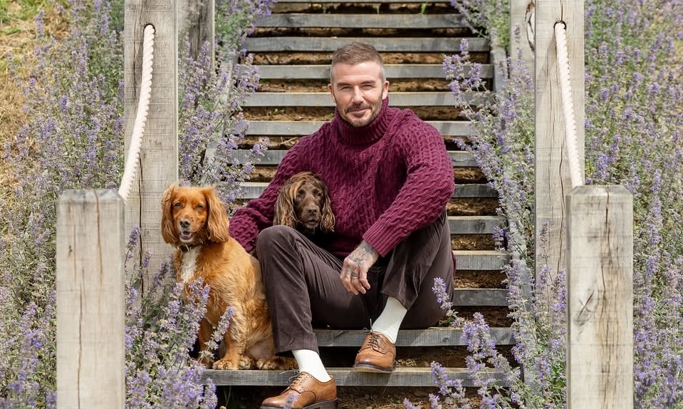 ABC8 VIP và phong cách thời thượng “giàu ngầm” của David Beckham - hình ảnh - playabc8.com ABC8 VIP và phong cách thời thượng “giàu ngầm” của David Beckham - hình ảnh - playabc8.com