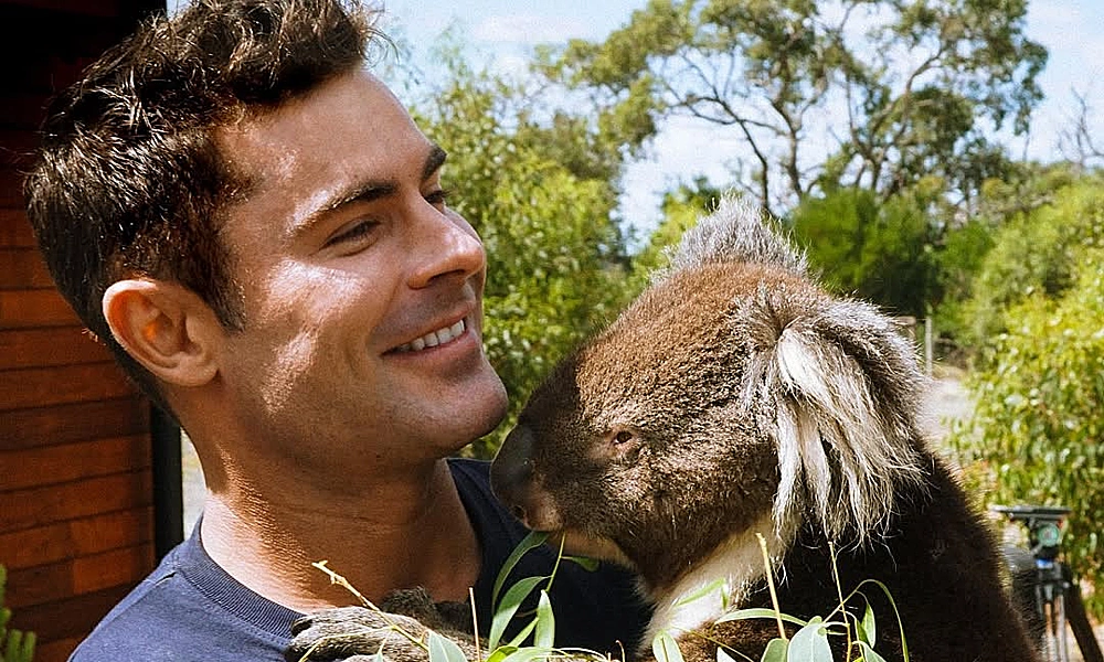 Zac Efron xây nhà xanh giữa rừng nhiệt đới Australia, chuẩn bị rời Mỹ - hình ảnh - playabc8.com Zac Efron xây nhà xanh giữa rừng nhiệt đới Australia, chuẩn bị rời Mỹ - hình ảnh - playabc8.com